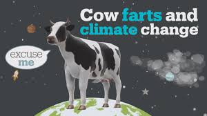 TRT World on Twitter: "What do cow farts have to do with climate change?  https://t.co/Lsvpa8icta" / Twitter