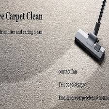 the 10 best carpet cleaners in ipswich