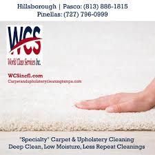 deep carpet cleaning low moisture