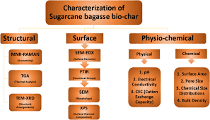 sugarcane bage based biochar and its