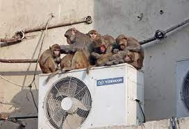 how bad is your air conditioner for the