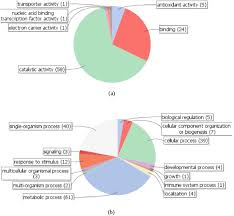 A Pie Chart Molecular Function And B Pie Chart