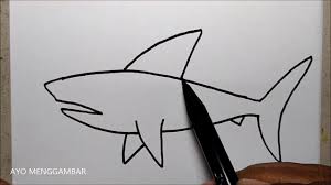 Cara menggambar ikan paus melompat mp3 & mp4. Cara Menggambar Ikan Hiu Untuk Anak Tk Paud Dan Sd Youtube