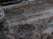 oriental rug cleaning plant orlando