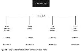 Organizational Structure Of The Kitchen