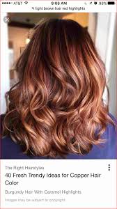 Beautiful Natural Light Brown Hair Color Collection Of Hair