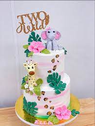 Girly Safari First Birthday Cake Birthday Cakes Baby Birthday Cakes  gambar png