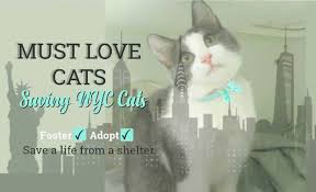 Click here to find our shelter nearest you. Must Love Cats Saving Nyc Cats Home Facebook