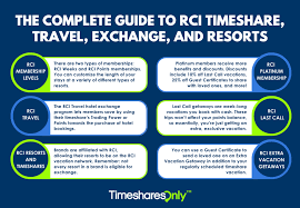Timeshares Only gambar png