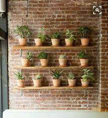 Love This Brick Wall And Plant Shelves