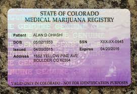 Applications must be mailed in by the patient. How Normal Is Marijuana The Story Of A Card Carrying Pothead Views From Behind The Lens