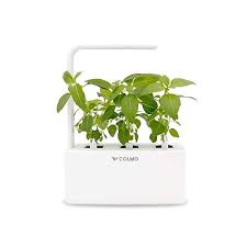 Indoor Herb Garden Kit With Spectrum