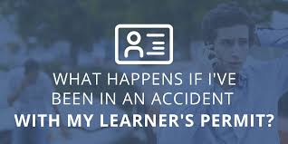 We did not find results for: What Happens If I Ve Been In An Accident With My Learners Permit