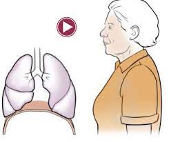 pursed lip and diaphragmatic breathing