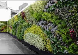 How To Create A Living Wall Plants E