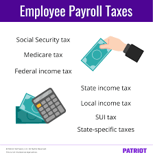 payroll ta that are the employee s