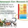 Earth’s History and the Mesozoic Era