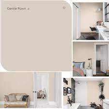 Dulux Gentle Fawn Living Room Ideas