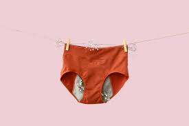 best pfas free period underwear brands