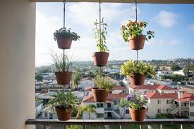 Vertical Balcony Garden Ideas Balcony
