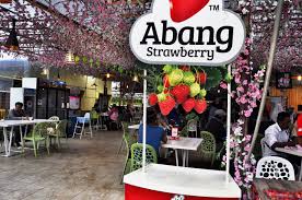 To the west, it shares part of its border with perak. Hazwan Hairy Tempat Makan Di Cameron Highland 200 Seed Cafe By Abang Strawberry Cameron Highland