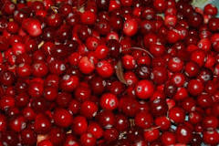 Cranberries - A Source of Inspiration | Source Food