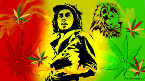reggae lion wallpaper 67 images
