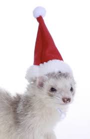 Marshall Pet Santa Hat For Ferrets And Small Animals