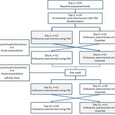 Flow Chart Of The Intervention Download Scientific Diagram