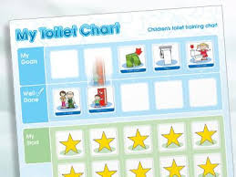 My Toilet Chart Children S Toileting Chart
