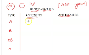 blood type antigens present