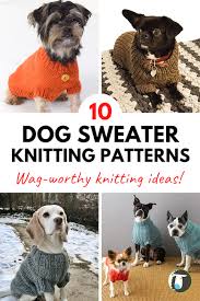 Dog Sweater Knitting Patterns