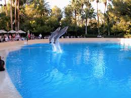 secret garden dolphins mirage las