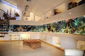 Amazing custom freshwater aquarium build with $94,000 pricetag | Reef  Builders | The Reef and Saltwater Aquarium Blog gambar png