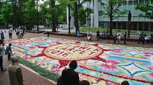 sapporo flower carpet 2024 june