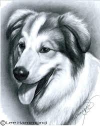 Living creatures are often harder to draw than static objects, as you want your animal drawings to be full of life. Drawing Realistic Pets From Photographs Step By Step Art Lessons By Lee Hammond Art Is Fun