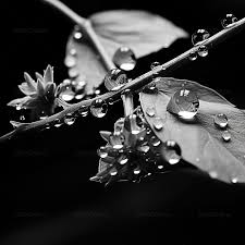 water drops photography