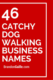 150 Catchy Dog Walking Business Names Catchy Slogans Dog Walking