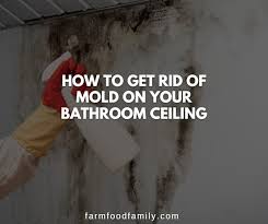 Mold On Your Bathroom Ceiling