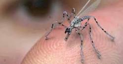 Image result for miniature drones disguised as dragonflies
