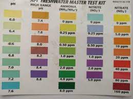 api freshwater master test kit review