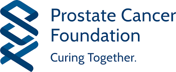 Image result for prostate cancer logo