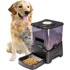 About 4% of these are pet bowls & feeders. Paws Pals Electronic Timer Programmable Dog Feeder For Large To Small Dogs Walmart Com Walmart Com