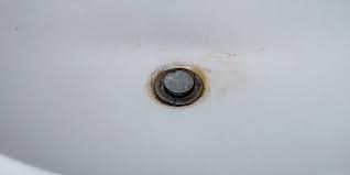 What Causes Black Mold In Sink Drains