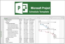 Provide One Microsoft Project Schedule Template