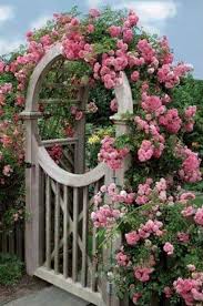 Rose Arch Garden Gates And Fencing