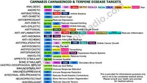 Cannabis Cannabinoid And Terpene Disease Targets Medical