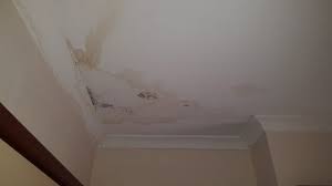 Cost Of Ceiling Installation Renovation