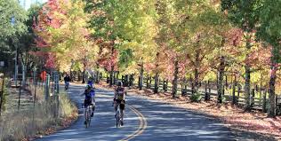 cycling through sonoma county