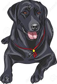 Lächelnd Schwarzen Pistole Hunderasse Labrador Retriever Liegend Lizenzfrei  Nutzbare SVG, Vektorgrafiken, Clip Arts, Illustrationen. Image 25880536.